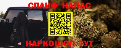 дмт Бийск