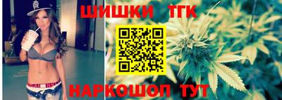 дмт Бийск