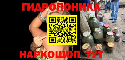 дмт Бийск