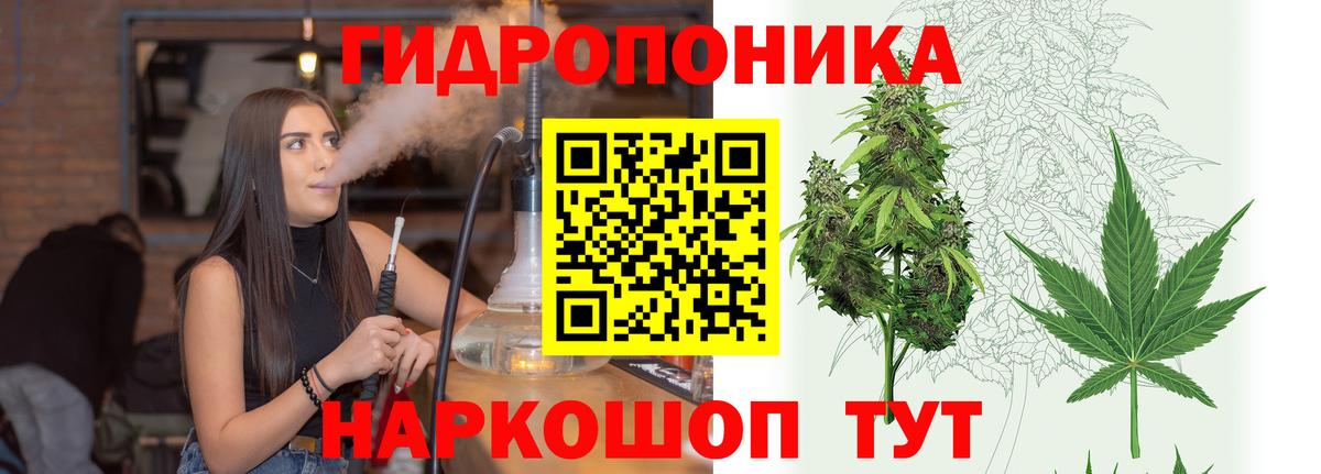Бошки марихуана VHQ  Вход с VPN  Кирово-Чепецк  Марихуана ГИДРОПОН  Бошки марихуана VHQ 